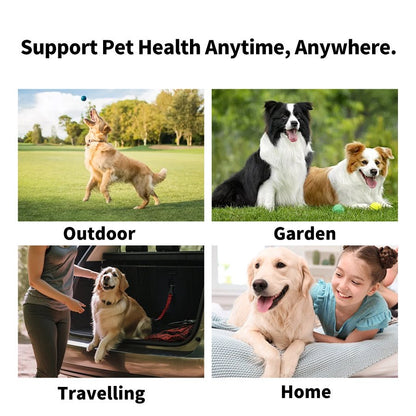 🐱 Pet products | pet deodorant, spray sterilization, deodorization 🐕